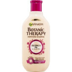 Garnier TERAPIA BOTANICA OLIO DI RICINO SHAMPOO 1×450 ml, shampoo