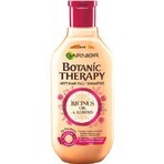 Garnier TERAPIA BOTANICA OLIO DI RICINO SHAMPOO 1×450 ml, shampoo