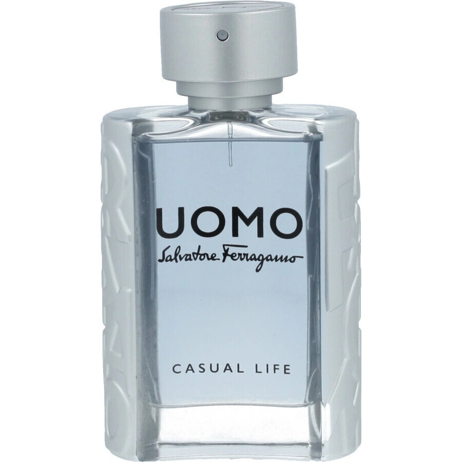 Salvatore Ferragamo Uomo Cl Edt 100ml 1×100 ml, Eau de toilette