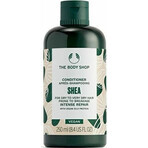 The Body Shop Après-shampooing pour cheveux secs et cassants Karité 1×250 ml, après-shampooing