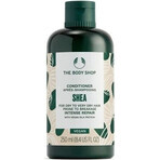 The Body Shop Après-shampooing pour cheveux secs et cassants Karité 1×250 ml, après-shampooing