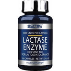 Scitec Nutrition Lactase Enzym 1×100 cps, Nahrungsergänzungsmittel