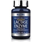 Scitec Nutrition Lactase Enzym 1×100 cps, Nahrungsergänzungsmittel