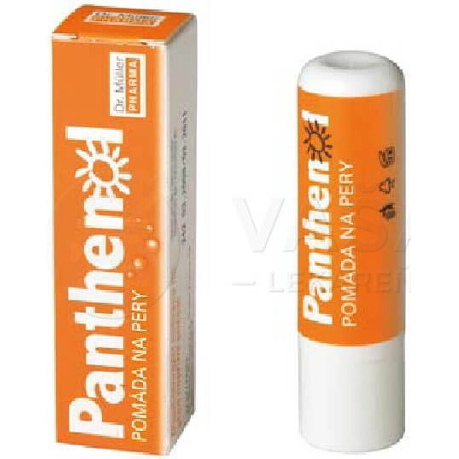 PANTHENOL PERY POMADE 4.4G DR.MULLER 1×1 pc, for dry lips