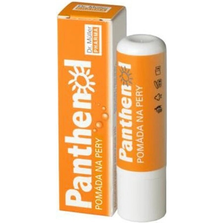 PANTHENOL PERY POMADE 4.4G DR.MULLER 1×1 pc, for dry lips