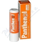 PANTHENOL PERY POMADE 4.4G DR.MULLER 1×1 pc, for dry lips