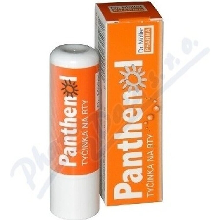 PANTHENOL PERY POMADE 4.4G DR.MULLER 1×1 pc, for dry lips