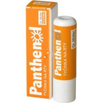 PANTHENOL PERY POMADE 4.4G DR.MULLER 1×1 pc, for dry lips