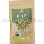 Allnature Kelp orgánico en polvo 100g 1×100g