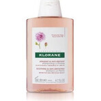 SHAMPOO KLORANE alla peonia biologica 1×200ml, shampoo per cuoio capelluto sensibile e irritato