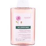 SHAMPOO KLORANE alla peonia biologica 1×200ml, shampoo per cuoio capelluto sensibile e irritato