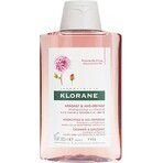 SHAMPOO KLORANE alla peonia biologica 1×200ml, shampoo per cuoio capelluto sensibile e irritato