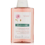 SHAMPOO KLORANE alla peonia biologica 1×200ml, shampoo per cuoio capelluto sensibile e irritato