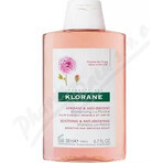 SHAMPOO KLORANE alla peonia biologica 1×200ml, shampoo per cuoio capelluto sensibile e irritato