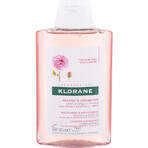 SHAMPOO KLORANE alla peonia biologica 1×200ml, shampoo per cuoio capelluto sensibile e irritato