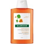 SHAMPOO KLORANE alla peonia biologica 1×200ml, shampoo per cuoio capelluto sensibile e irritato