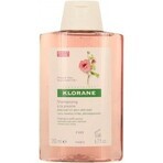 SHAMPOO KLORANE alla peonia biologica 1×200ml, shampoo per cuoio capelluto sensibile e irritato