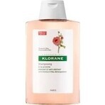 SHAMPOO KLORANE alla peonia biologica 1×200ml, shampoo per cuoio capelluto sensibile e irritato