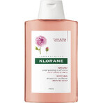 SHAMPOO KLORANE alla peonia biologica 1×200ml, shampoo per cuoio capelluto sensibile e irritato