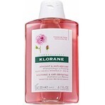 SHAMPOO KLORANE alla peonia biologica 1×200ml, shampoo per cuoio capelluto sensibile e irritato