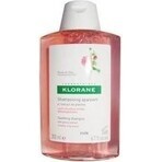 SHAMPOO KLORANE alla peonia biologica 1×200ml, shampoo per cuoio capelluto sensibile e irritato