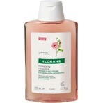 SHAMPOO KLORANE alla peonia biologica 1×200ml, shampoo per cuoio capelluto sensibile e irritato