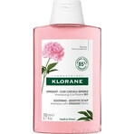 SHAMPOO KLORANE alla peonia biologica 1×200ml, shampoo per cuoio capelluto sensibile e irritato