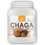 Allnature Chaga 1×100 cps, voedingssupplement