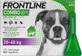 FRONTLINE COMBO spot-on voor HONDEN L 3 x 2,68 ml 3x2,68 ml 3x2,68 ml, oplossing voor honden