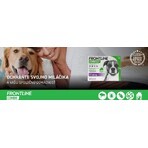 FRONTLINE COMBO spot-on voor HONDEN L 3 x 2,68 ml 3x2,68 ml 3x2,68 ml, oplossing voor honden