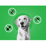 FRONTLINE COMBO spot-on voor HONDEN L 3 x 2,68 ml 3x2,68 ml 3x2,68 ml, oplossing voor honden