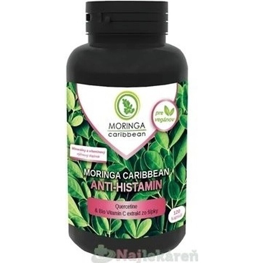 MORINGA Moringa Caribbean ANTI-HISTAMIN 1×120 cps, supliment alimentar