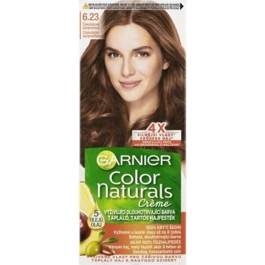 Garnier Color Naturals Dauerhafte Haarfarbe 6.23 Schoko-Karamell 1×1 Stück, Haarfarbe