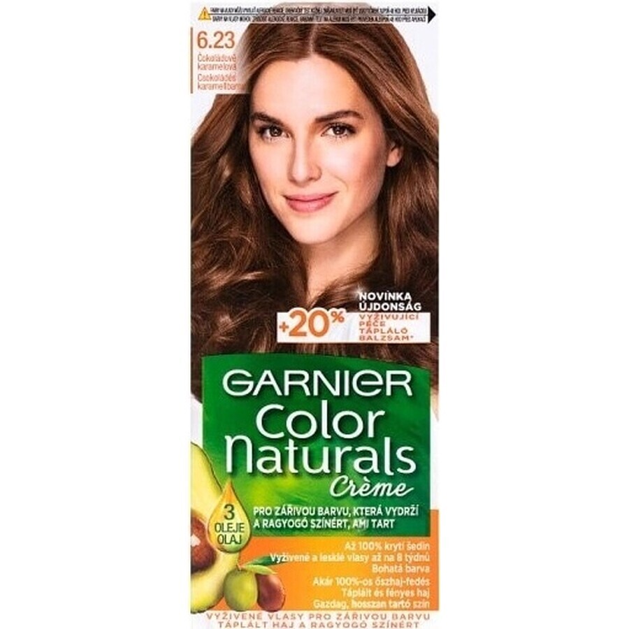 Garnier Color Naturals Dauerhafte Haarfarbe 6.23 Schoko-Karamell 1×1 Stück, Haarfarbe