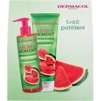 DB AM Melon 2023 1×1 set, geschenkverpakking