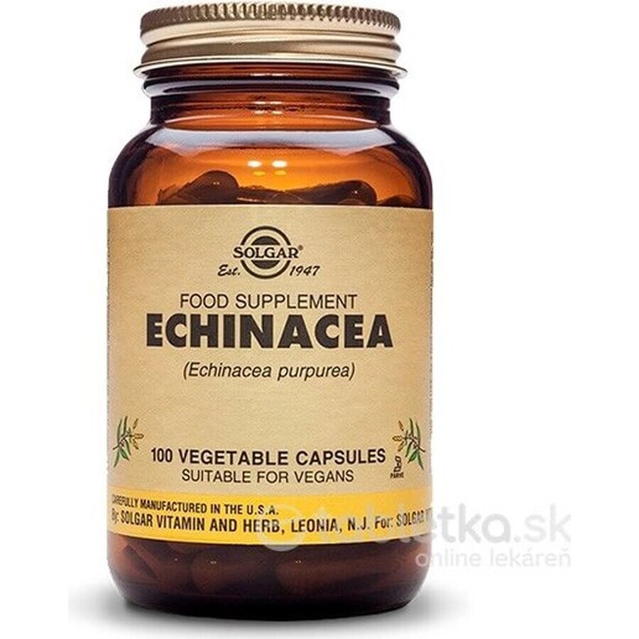 Solgar Echinacea Purpurea 100 cápsulas 1×100 tbl