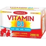 TEREZIA Vitamina D3 2000 UI 1×90 tbl, supliment alimentar