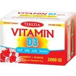 TEREZIA Vitamina D3 2000 UI 1×90 tbl, supliment alimentar