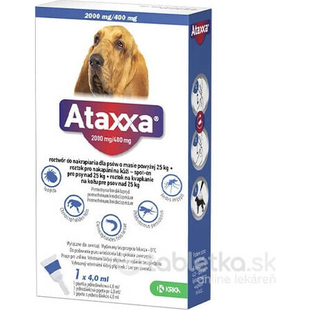 Ataxxa 2000 mg/400 mg (cani di peso superiore a 25 kg) 1×4 ml, soluzione per cani