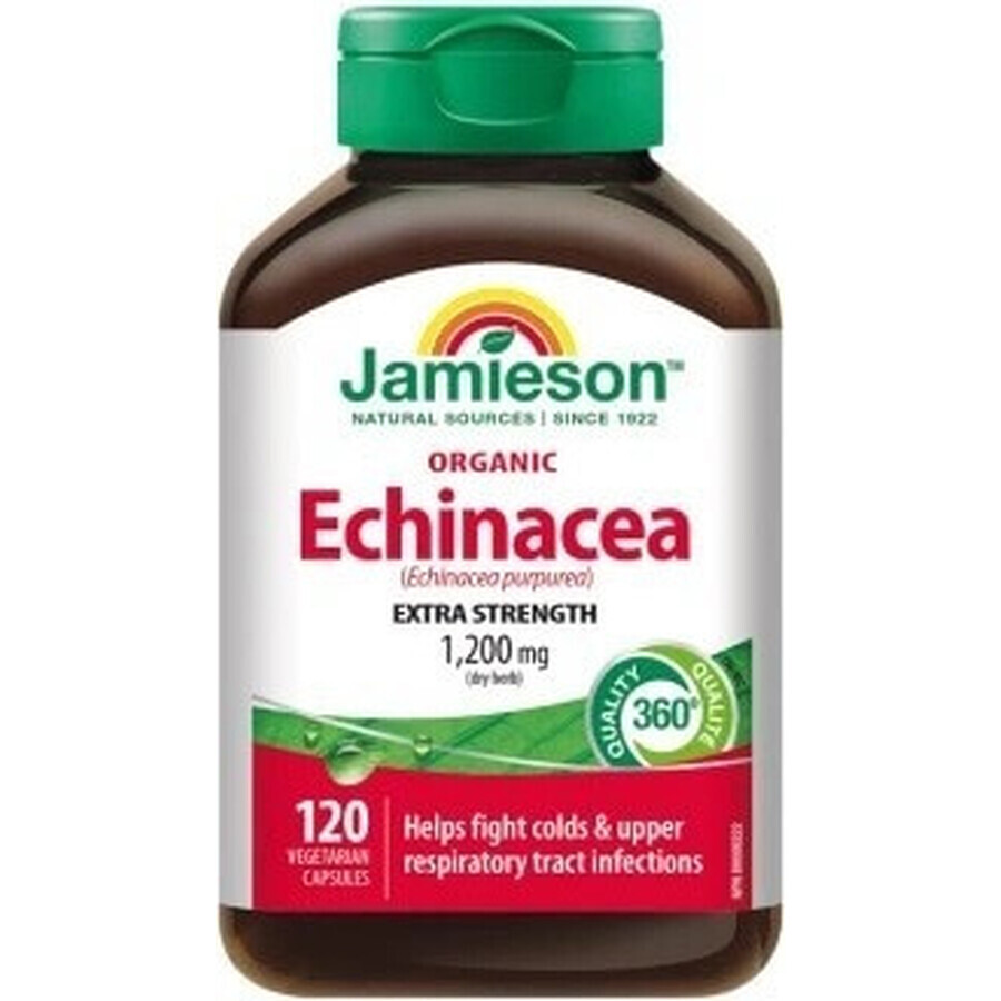 JAMIESON ECHINACEA 1200 mg 1×120 cps, voedingssupplement