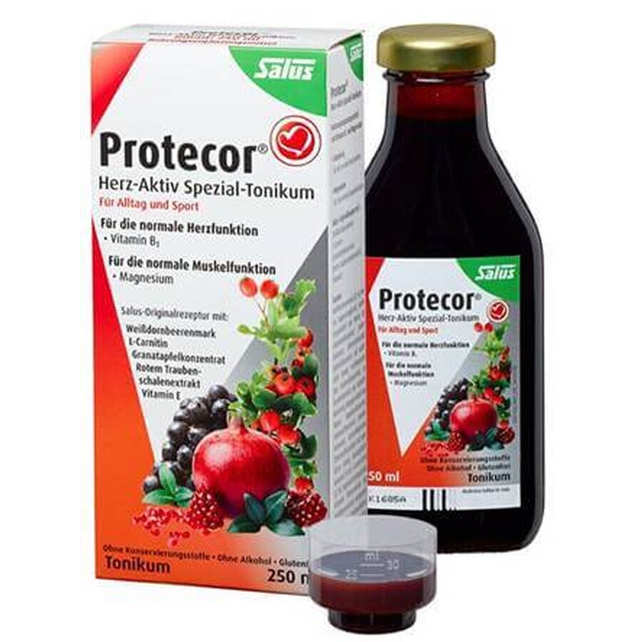 SALUS Protecor Active Heart Herbal Tonic 1x250 ml