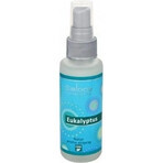 SALOOS Luchtverfrisser Eucalyptus 1×50 ml aroma Eucalyptus Luchtspray