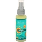 SALOOS Luchtverfrisser Eucalyptus 1×50 ml aroma Eucalyptus Luchtspray