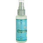 SALOOS Luchtverfrisser Eucalyptus 1×50 ml aroma Eucalyptus Luchtspray