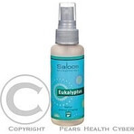 SALOOS Luchtverfrisser Eucalyptus 1×50 ml aroma Eucalyptus Luchtspray