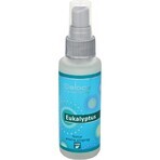 SALOOS Luchtverfrisser Eucalyptus 1×50 ml aroma Eucalyptus Luchtspray