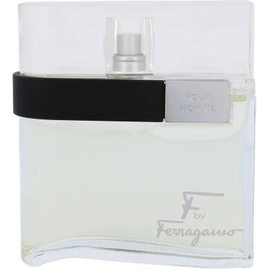 Salvatore Ferragamo F Pour Homme Edt 100ml 1×100 ml, apă de toaletă