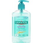 Sanytol săpun dezinfectant Purifiant 1×250 ml, săpun dezinfectant