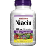 WEBBER NATURALS Niacin B3 500 mg nicht allergen! 1×90 cps, Nahrungsergänzungsmittel