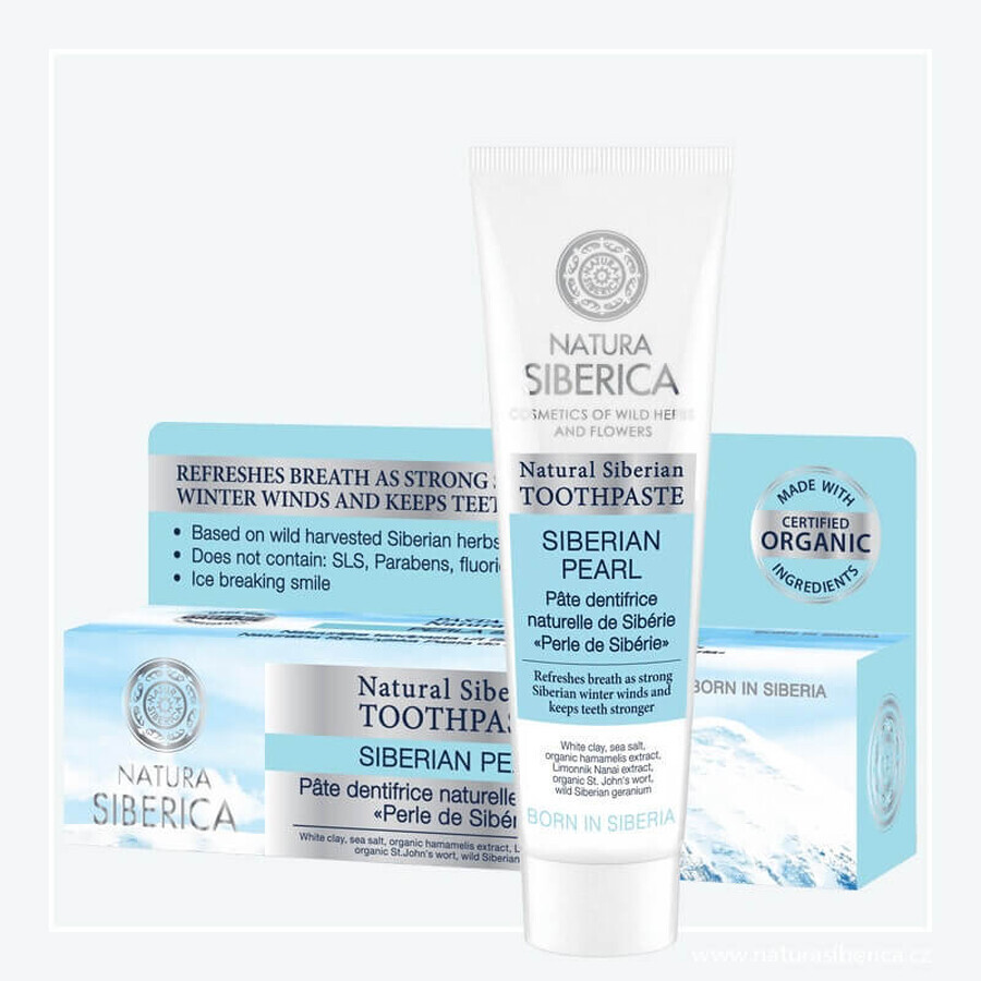 Natura Siberica whitening toothpaste black "Polar Night" 1×100 g, toothpaste